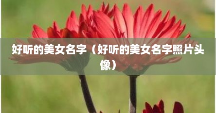 好听的美女名字（好听的美女名字照片头像）