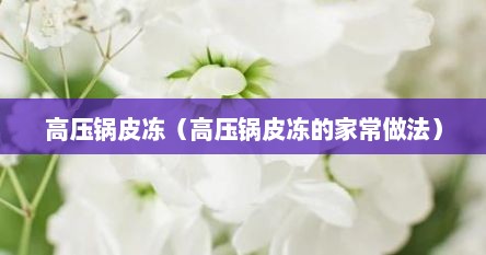 高压锅皮冻（高压锅皮冻的家常做法）