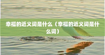 幸福的近义词是什么（幸福的近义词是什么词）