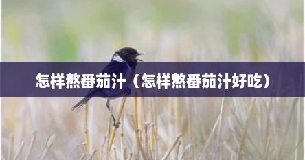 怎样熬番茄汁（怎样熬番茄汁好吃）