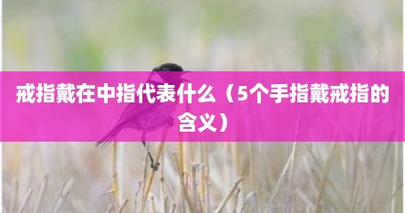 戒指戴在中指代表什么（5个手指戴戒指的含义）