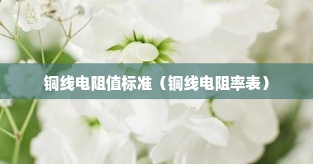 铜线电阻值标准（铜线电阻率表）