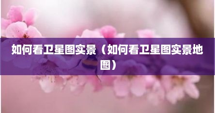 如何看卫星图实景（如何看卫星图实景地图）