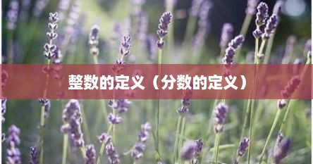 整数的定义（分数的定义）