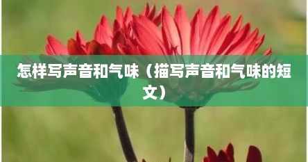 怎样写声音和气味（描写声音和气味的短文）