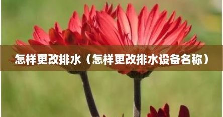 怎样更改排水（怎样更改排水设备名称）
