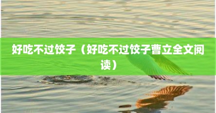 好吃不过饺子曹下载（好吃不过饺子笔趣阁曹立）