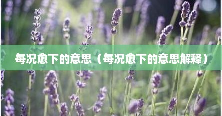 每况愈下的意思（每况愈下的意思解释）