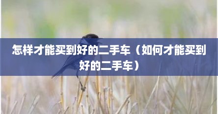 怎样才能买到好的二手车（如何才能买到好的二手车）