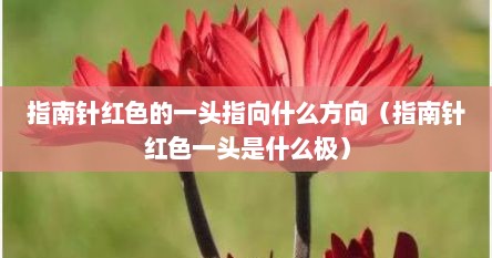 指南针红色的一头指向什么方向（指南针红色一头是什么极）