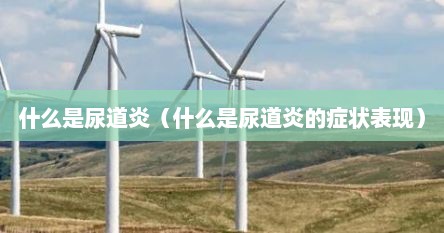 什么是尿道炎（什么是尿道炎的症状表现）