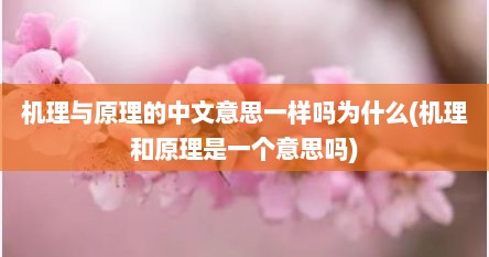 机理与原理的中文意思一样吗为什么(机理和原理是一个意思吗)
