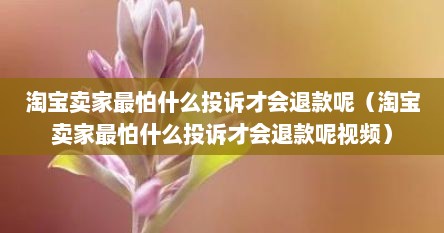 淘宝卖家最怕什么投诉才会退款呢（淘宝卖家最怕什么投诉才会退款呢视频）