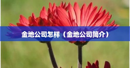金地有限公司（金地公司怎么样）