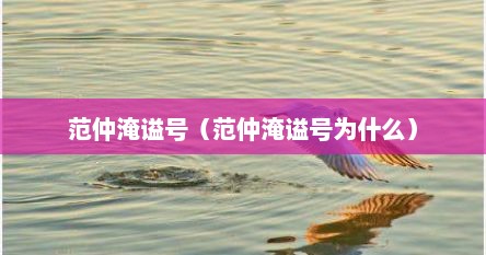 范仲淹谥号（范仲淹谥号为什么）
