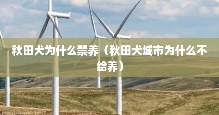 秋田犬为什么禁养（秋田犬城市为什么不给养）