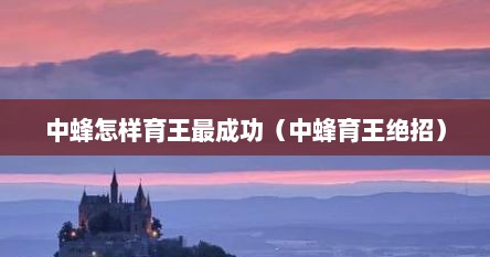 中蜂怎样育王最成功（中蜂育王绝招）