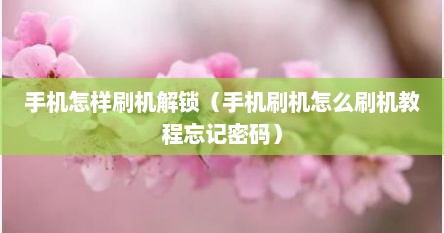 手机怎样刷机解锁（手机刷机怎么刷机教程忘记密码）