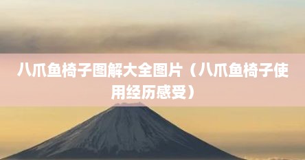 八爪鱼椅子图解大全图片（八爪鱼椅子使用经历感受）