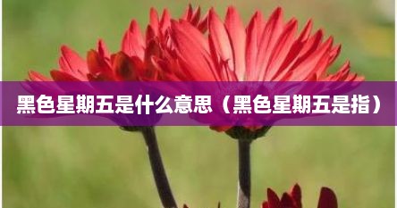 黑色星期五是什么意思（黑色星期五是指）