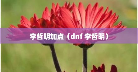 李哲明加点（dnf 李哲明）