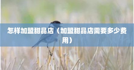 怎样加盟甜品店（加盟甜品店需要多少费用）