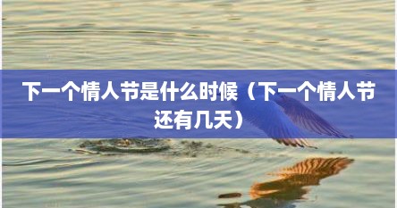 下一个情人节是什么时候（下一个情人节还有几天）