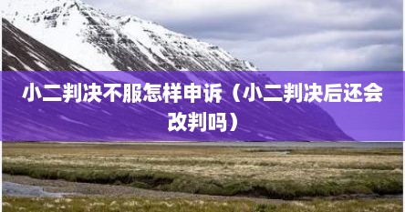 小二判决不服怎样申诉（小二判决后还会改判吗）