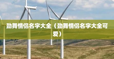 劲舞情侣名字大全（劲舞情侣名字大全可爱）