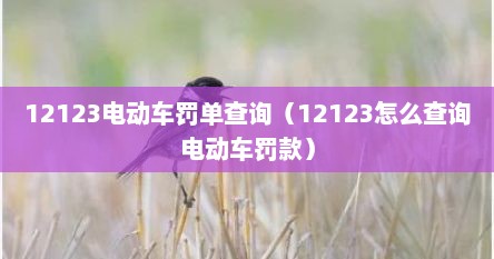 12123电动车罚单查询（12123怎么查询电动车罚款）