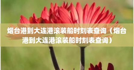 烟台港到大连港滚装船时刻表查询（烟台港到大连港滚装船时刻表查询）