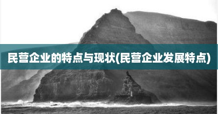 民营企业的特点与现状(民营企业发展特点)