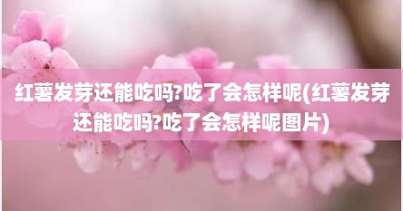 红薯发芽还能吃吗?吃了会怎样呢(红薯发芽还能吃吗?吃了会怎样呢图片)