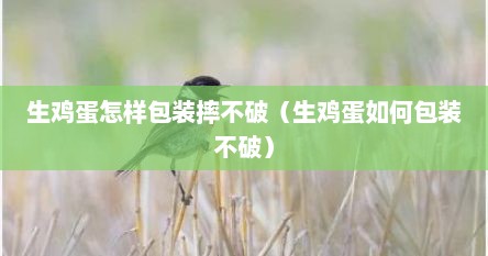 生鸡蛋怎样包装摔不破（生鸡蛋如何包装不破）