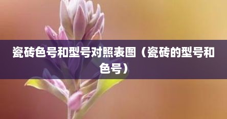 瓷砖色号和型号对照表图（瓷砖的型号和色号）