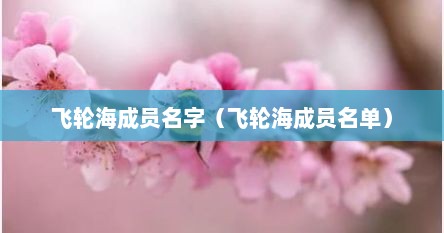 飞轮海成员名字（飞轮海成员名单）