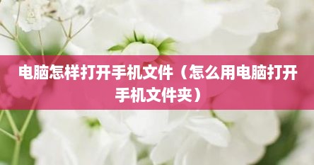 电脑怎样打开手机文件（怎么用电脑打开手机文件夹）