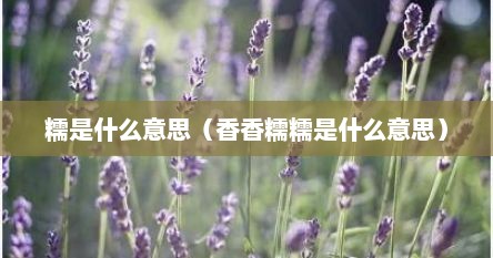 糯是什么意思（香香糯糯是什么意思）