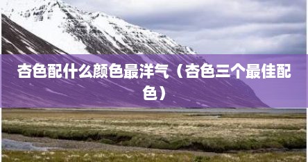 杏色配什么颜色最洋气（杏色三个最佳配色）
