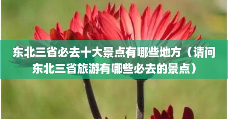 东北三省必去十大景点有哪些地方（请问东北三省旅游有哪些必去的景点）