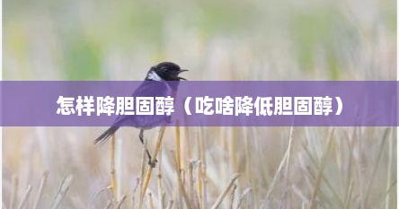 怎样降胆固醇（吃啥降低胆固醇）