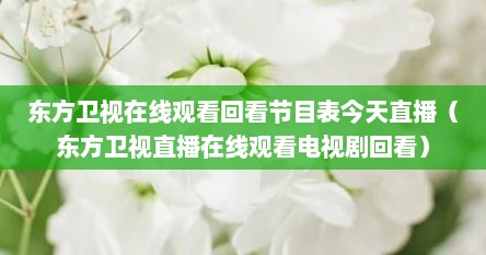 东方卫视在线观看回看节目表今天直播（东方卫视直播在线观看电视剧回看）