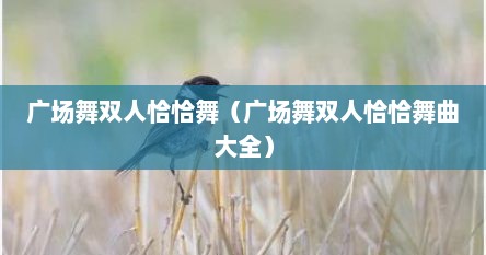 广场舞双人恰恰舞（广场舞双人恰恰舞曲大全）