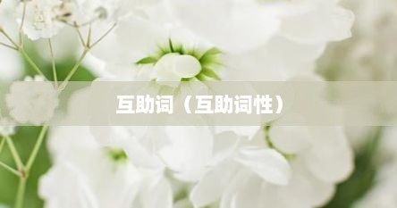 互助词（互助词性）