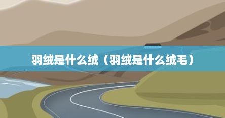羽绒是什么绒（羽绒是什么绒毛）
