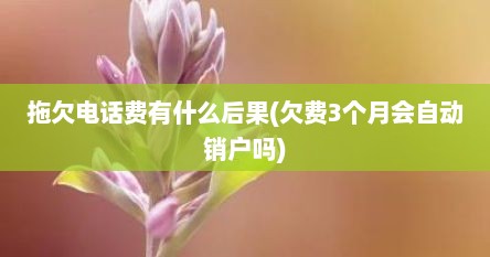 拖欠电话费有什么后果(欠费3个月会自动销户吗)