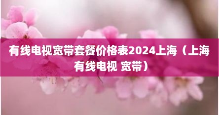 有线电视宽带套餐价格表2024上海（上海 有线电视 宽带）