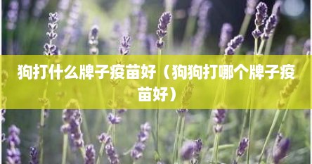 狗打什么牌子疫苗好（狗狗打哪个牌子疫苗好）