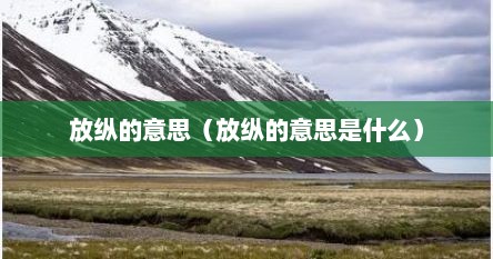 放纵的词义是什么（放纵的解释及意思）