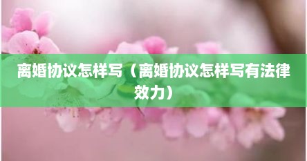 离婚协议怎样写（离婚协议怎样写有法律效力）
